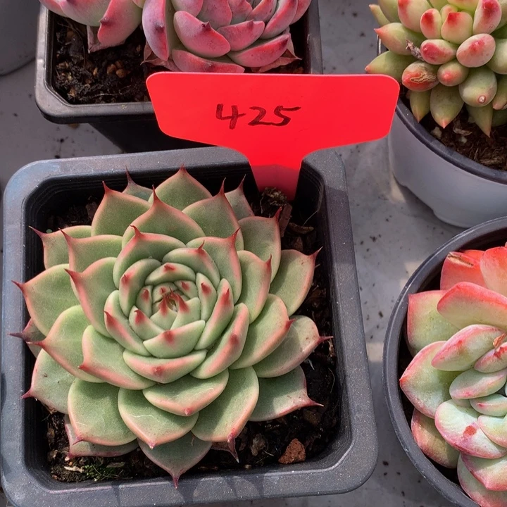 多替自己误72737373773