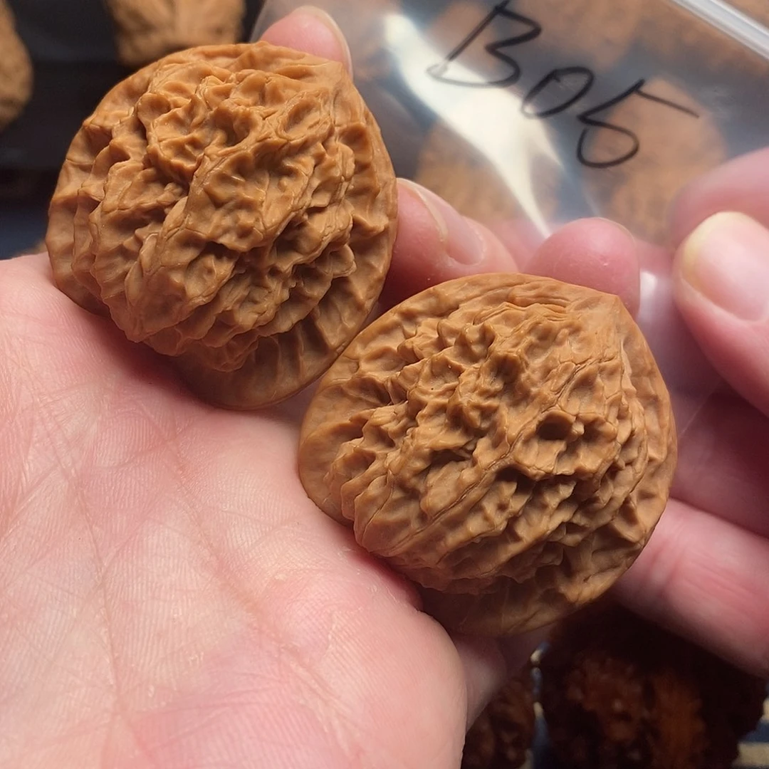 文玩核桃把件南***头41老款