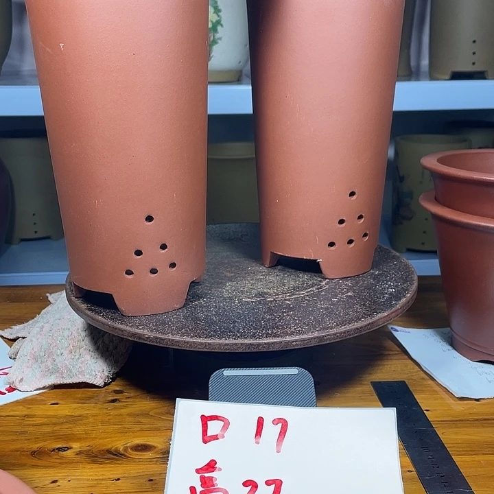 紫砂花盆我也想要一个这样的