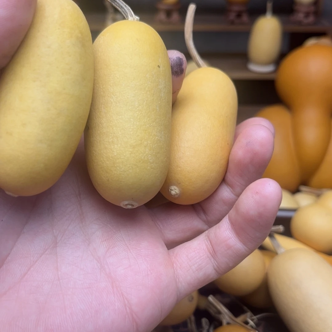 人***常哈哈哈哈哈哈哈哈