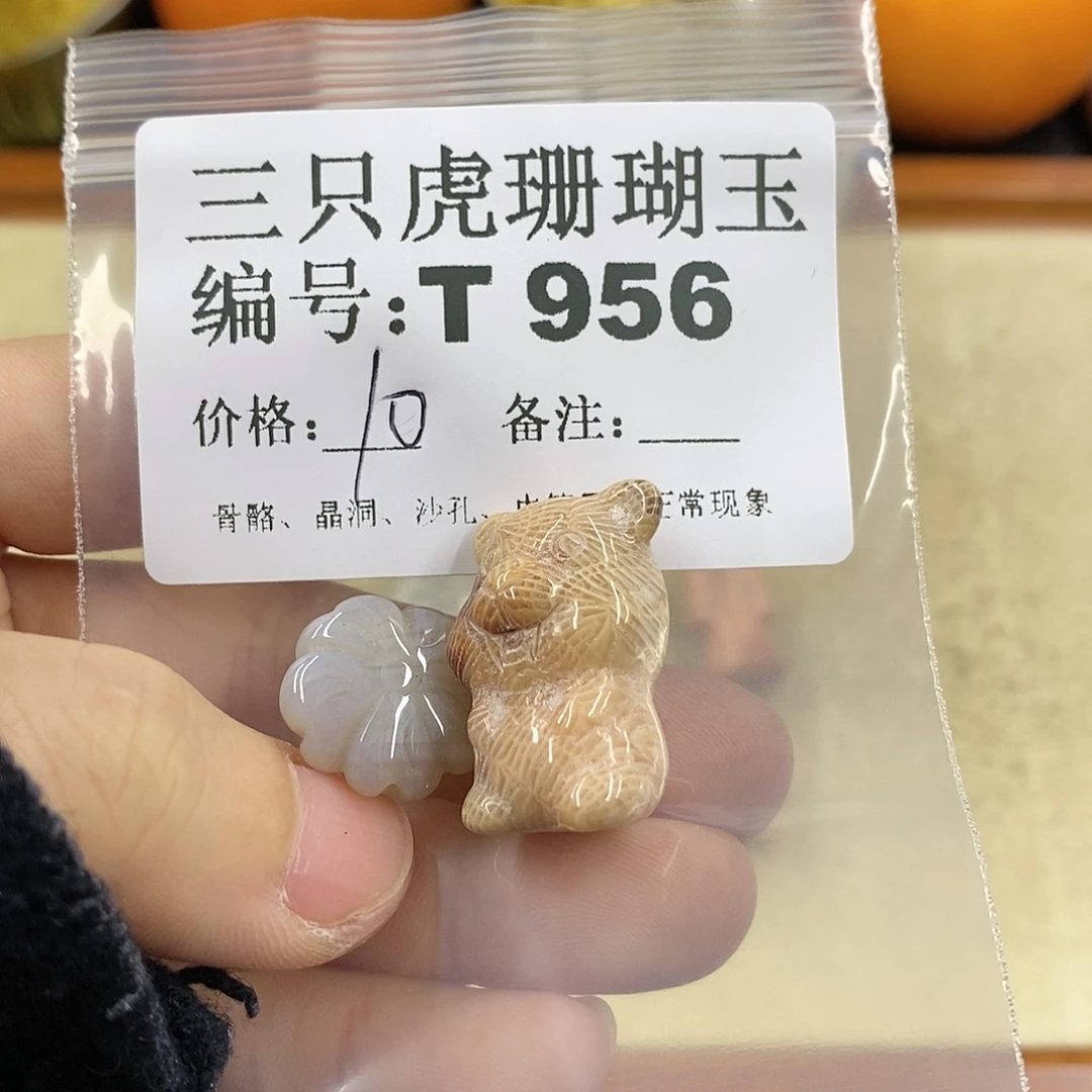 硅化珊瑚（珊瑚玉）1未镶嵌B****f