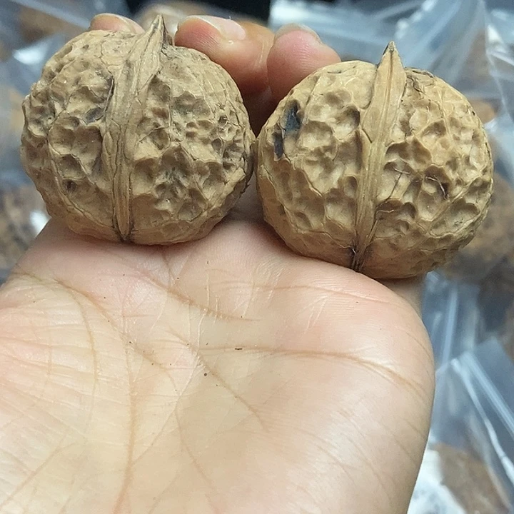 文玩核桃把件云南铁核桃基地27