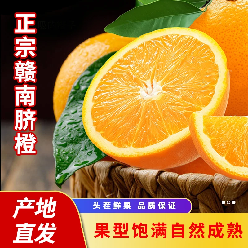 正宗赣南脐橙一级果10斤现摘现发果园直发