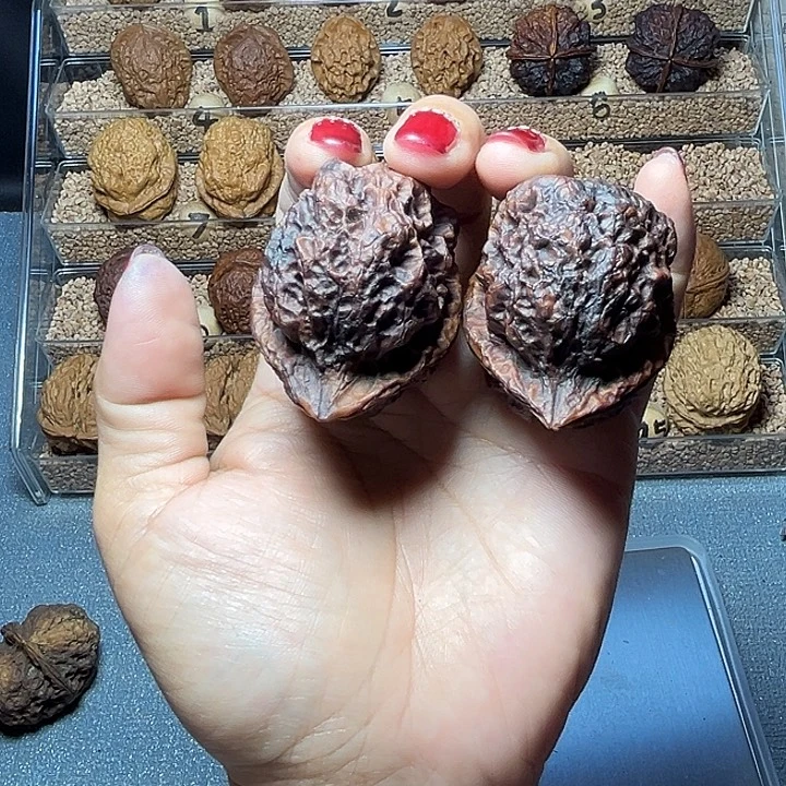 財***命文玩核桃把件39尖嘴蟾48尺