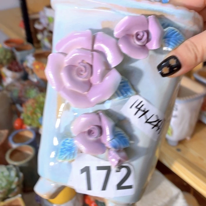 多肉花盆满15包邮