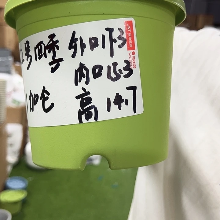 特价2号口17.3高14.7白色无托10只