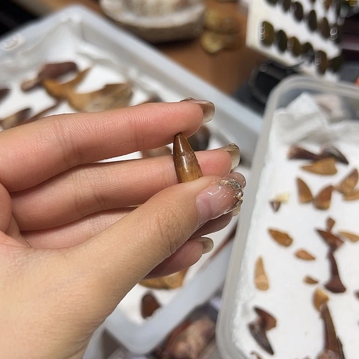 猫***）精品系列产品摆件135679