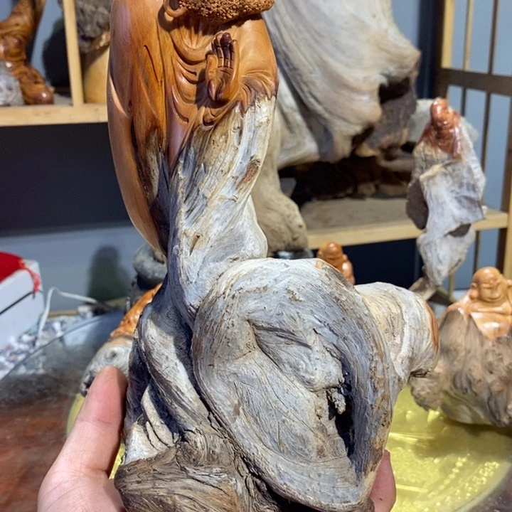 河***家香榧木崖柏等自然景区的