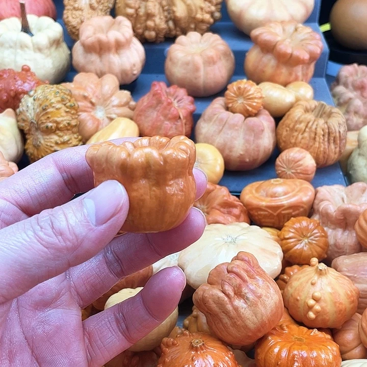 ˗****墨西哥高的葫芦牌型