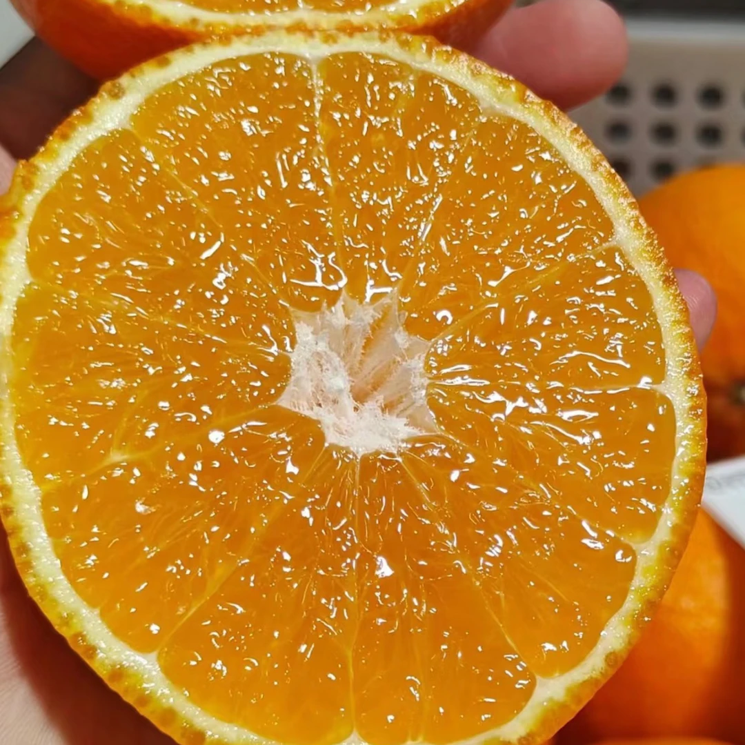 爱媛果冻橙（9.99/3斤）净果