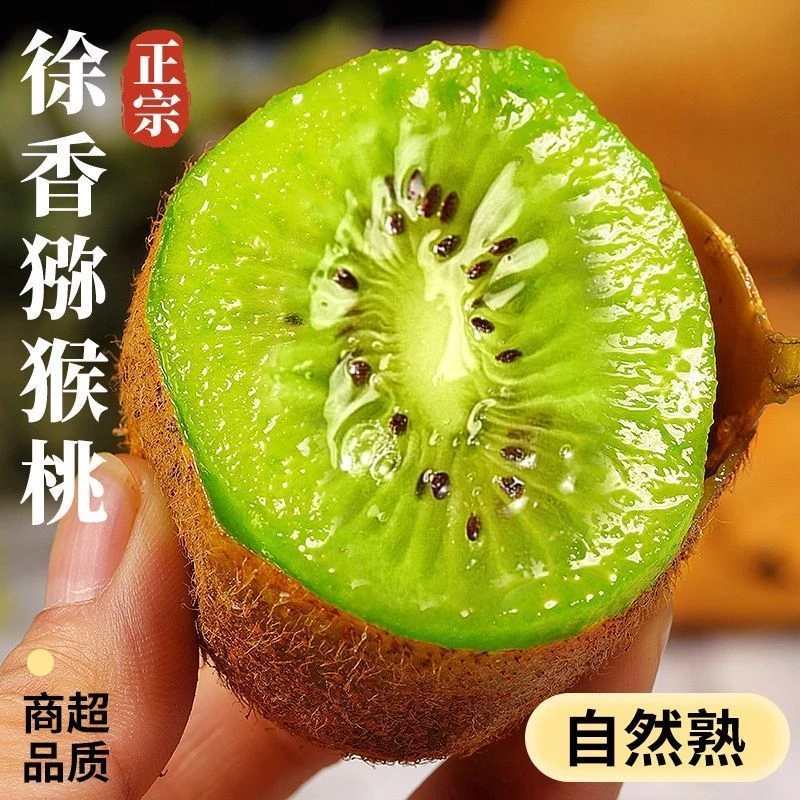 Y5陕西正宗周至徐香猕猴桃新鲜采摘当季水果香甜多汁