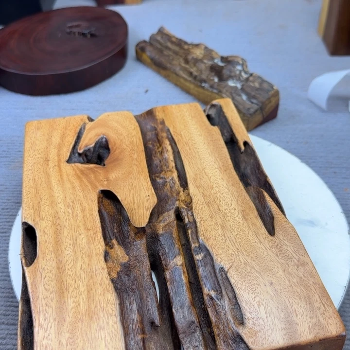 大果紫檀（缅甸花梨）长**虫