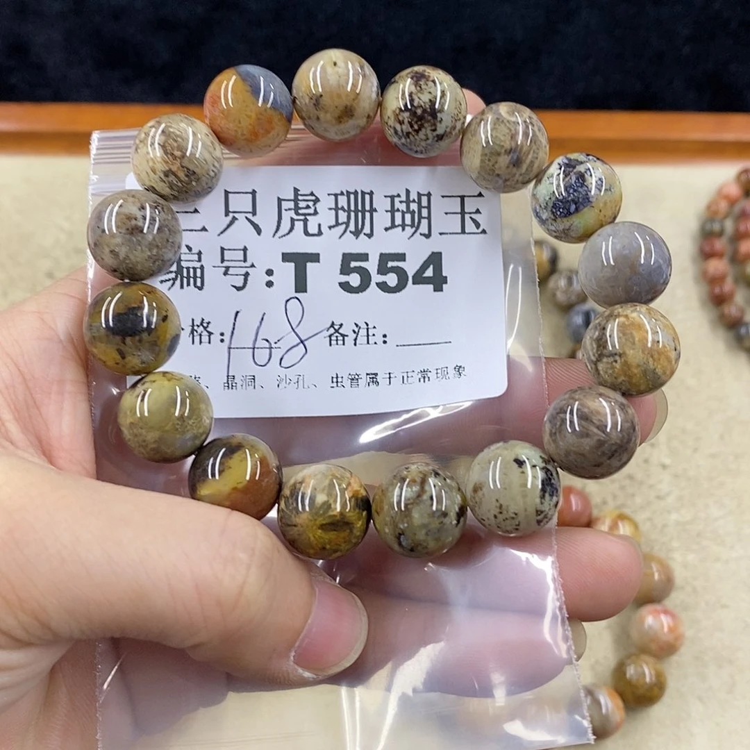 硅化珊瑚（珊瑚玉）1未镶嵌我**空