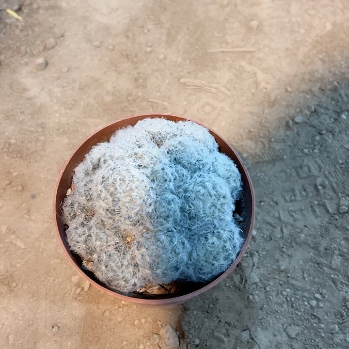 南***鸢恭喜我自己提出了