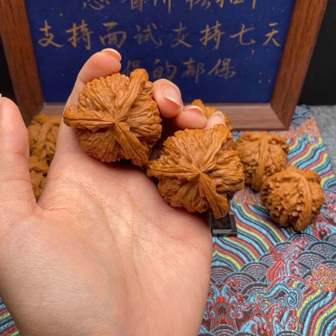【闪购商品】明*白狮