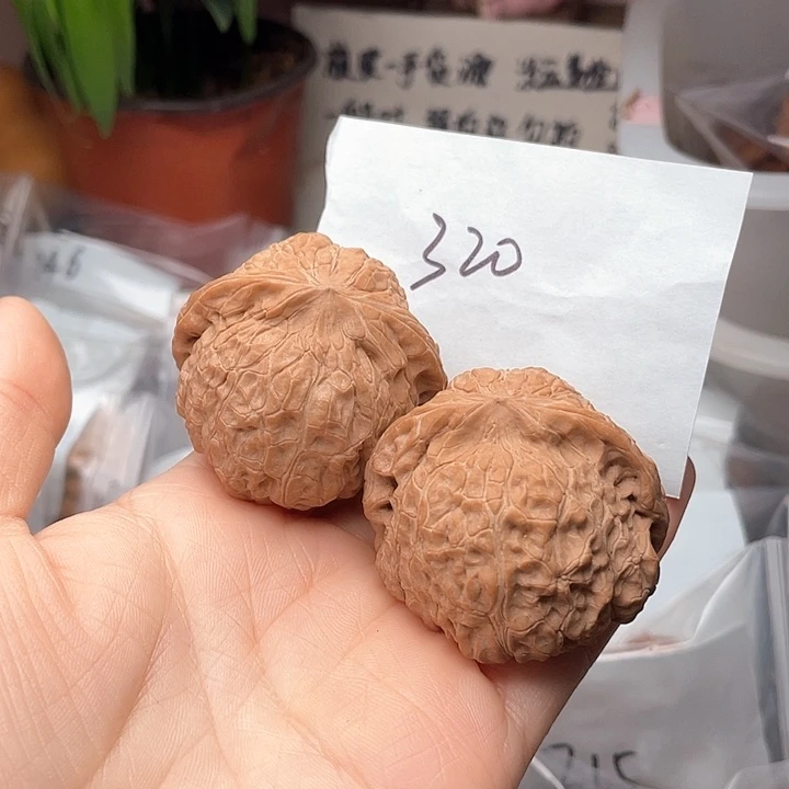 455尺寸白茬无修南瓜