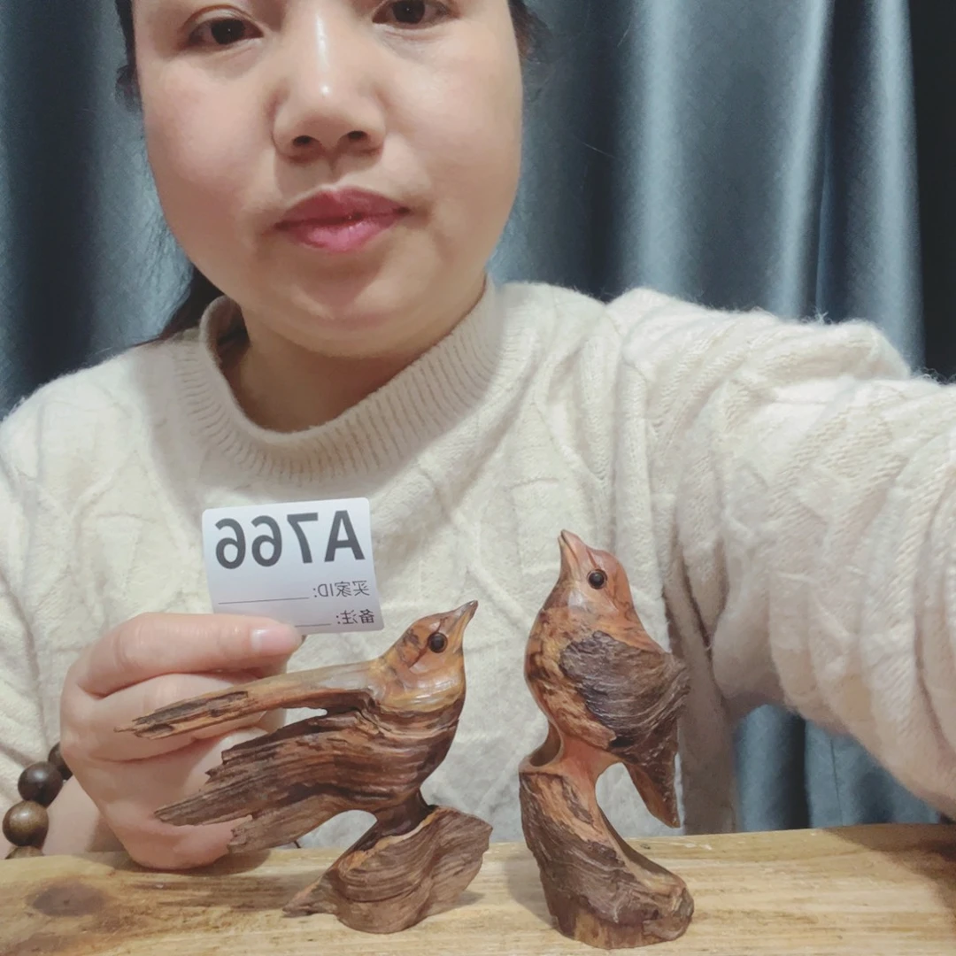 金**瑞百年树的生长环境