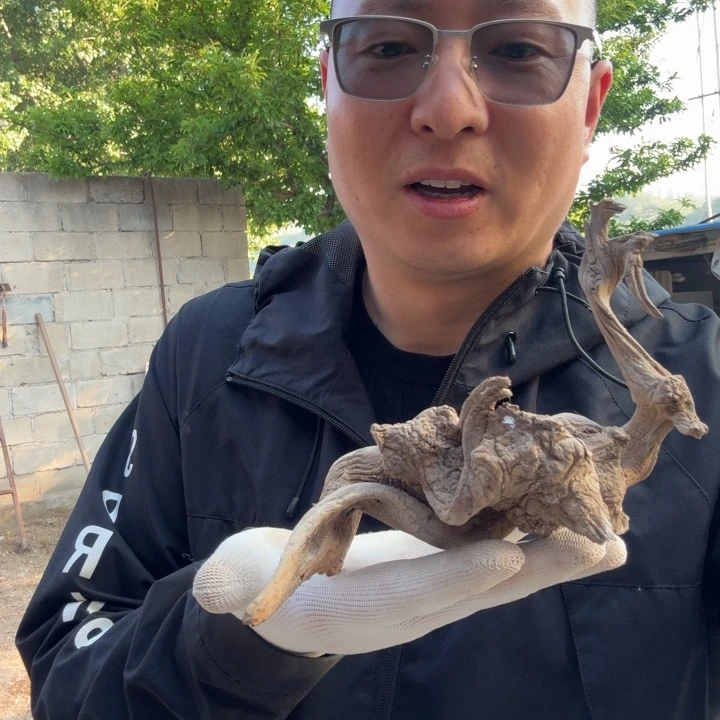 香榧木崖**创工艺品摆件精品