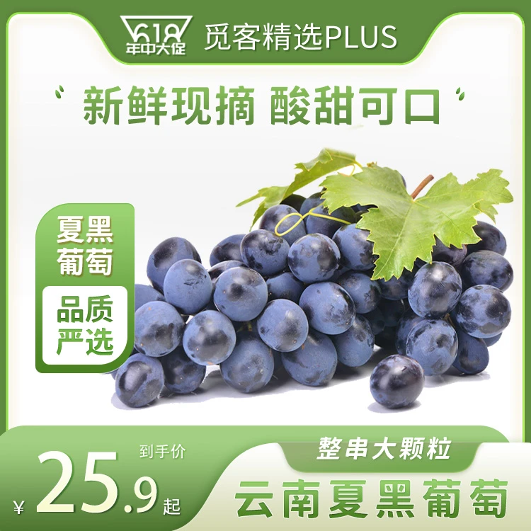 云南夏黑葡萄新鲜现摘整串当季水果酸甜无籽葡萄