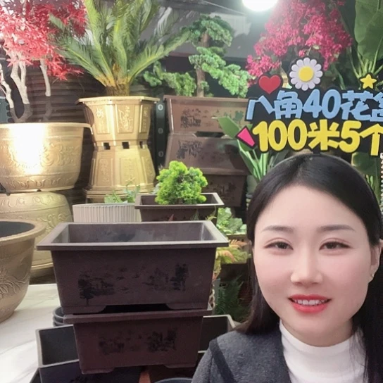 复合奇*盆景50盆13个有孔