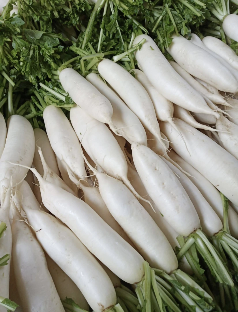新鲜应季白萝卜脆嫩多汁适合炖肉清脆脆爽可口