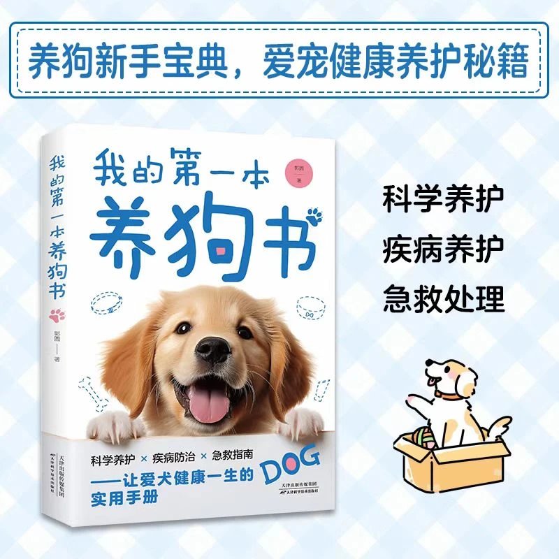 小熊教你选狗狗PPT/Excel