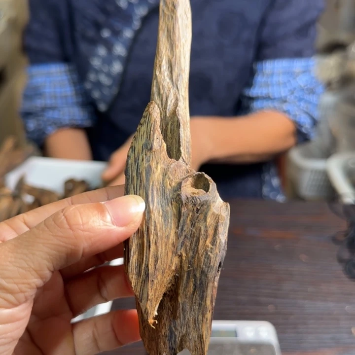 摆件沉香虫漏8号26克多样性发1条