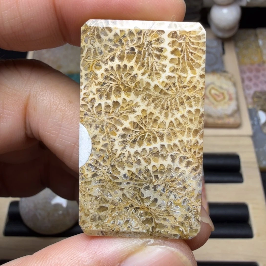 硅化玉未镶嵌纯天然色有机玉石保真色