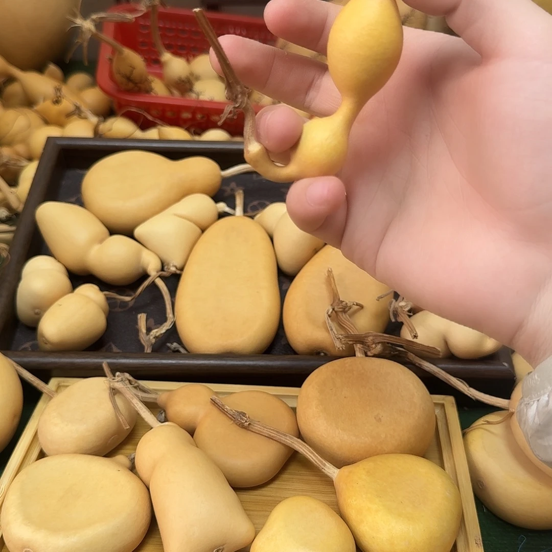 绕***北葫芦1111111111111