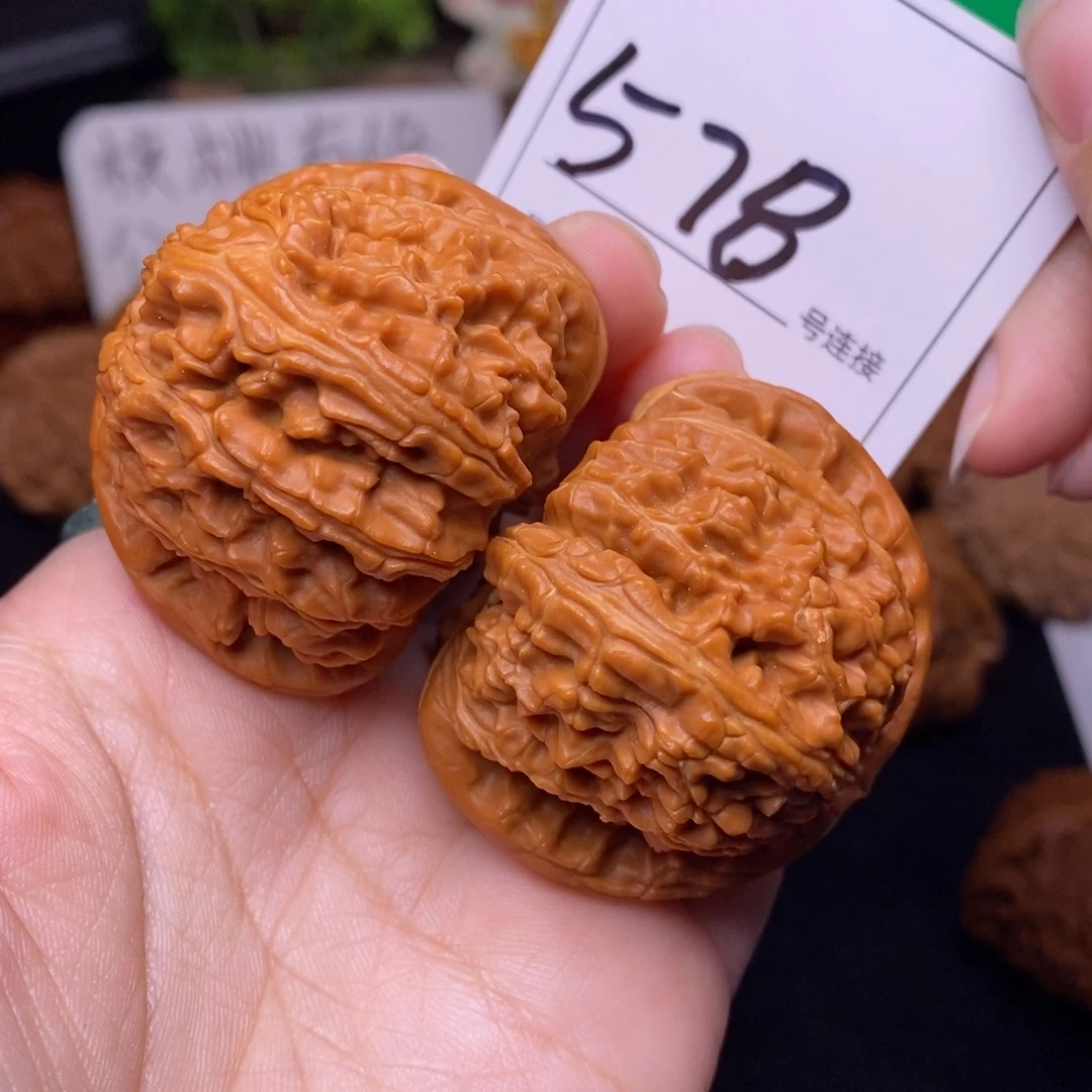 把件文玩核桃578白狮子4.7