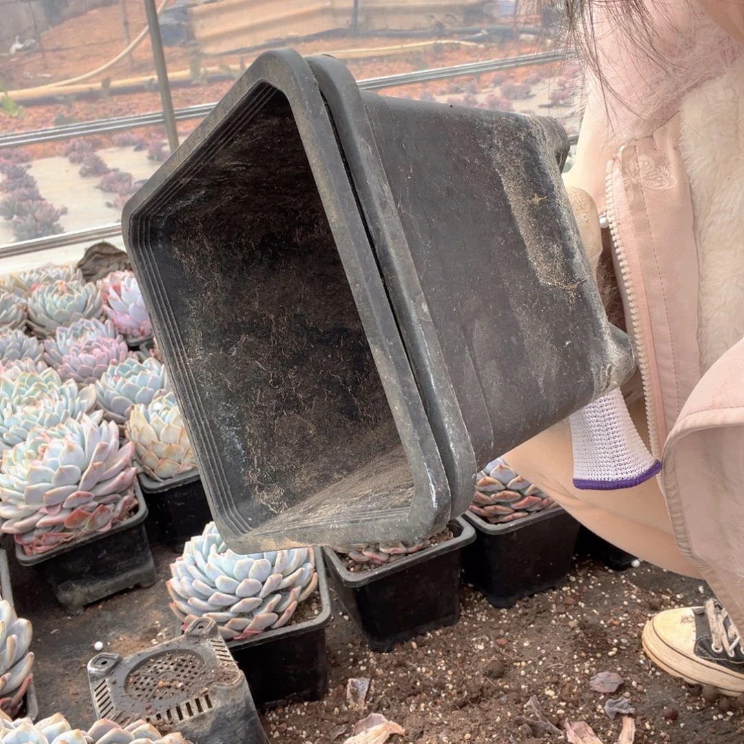 二手140黑方盆20个一组