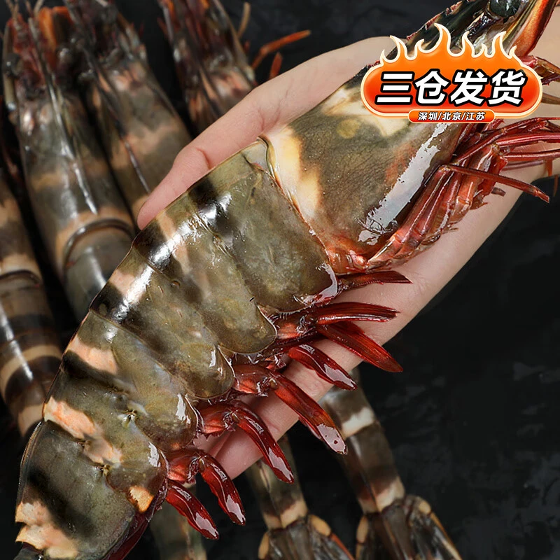 东南亚特大黑虎虾 单只 大号 新鲜 海捕 急冻 年货盒装