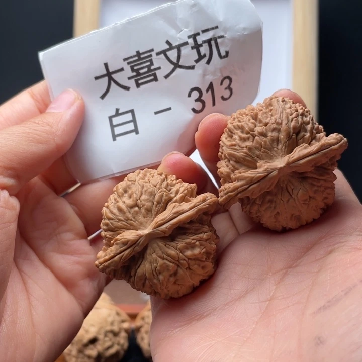 43尺寸全品焖狮子