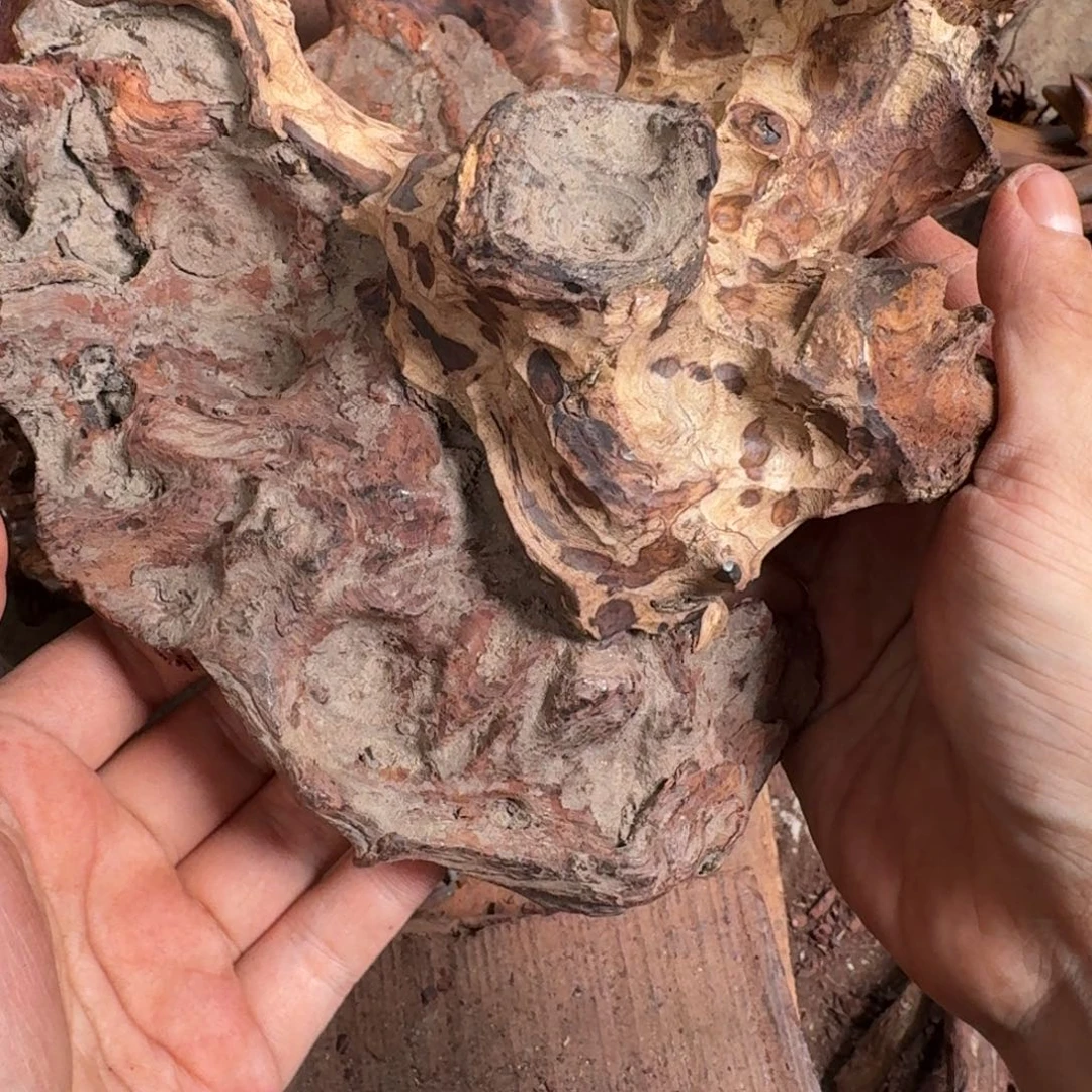 黄花梨/降香黄檀手串海黄原料定制开料不退换