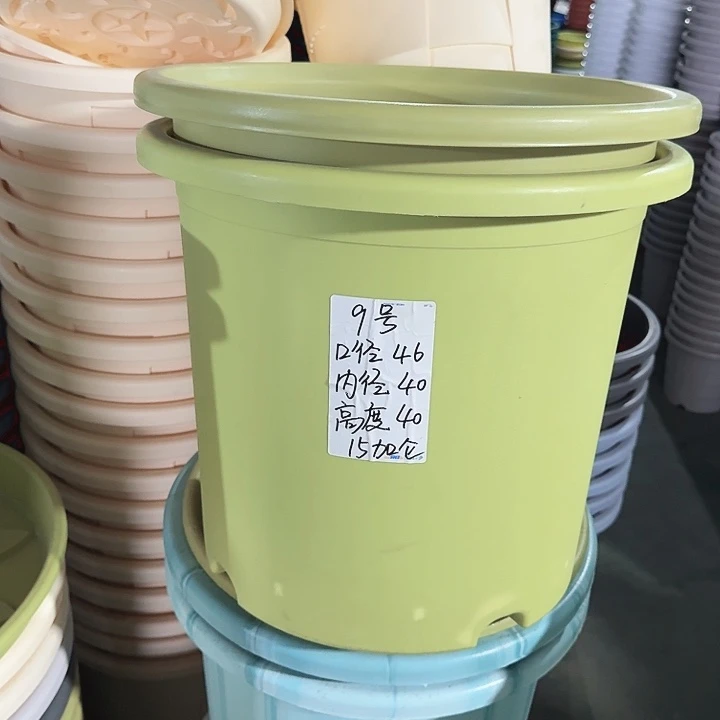 微瑕9#口径46果绿3个无托