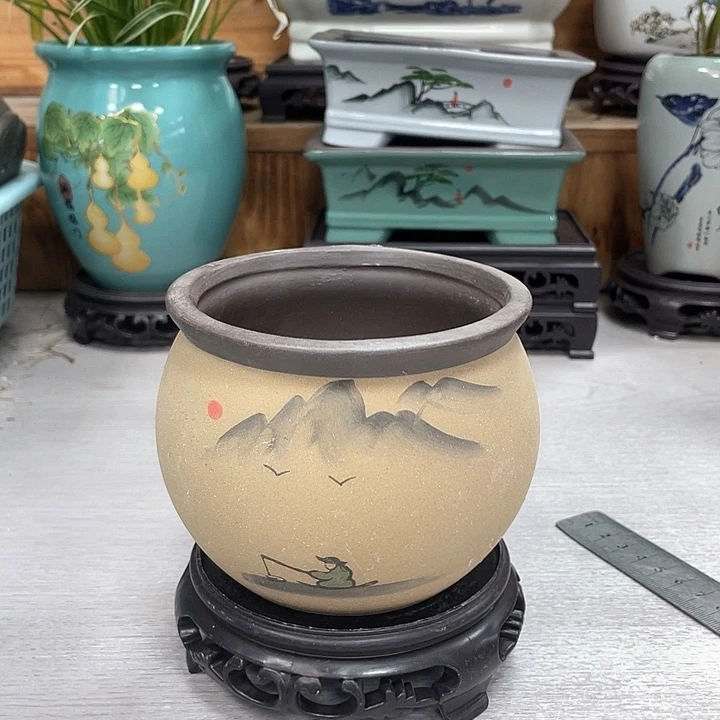 精美绿植花盆抢购福利多多抢购