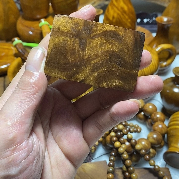 饲***猫金丝楠木小叶桢楠木