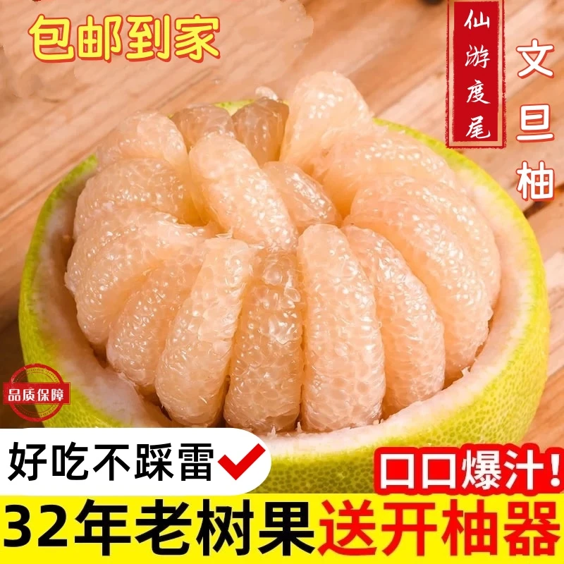 福建度尾文旦柚老树正宗蜜柚新鲜当季孕妇儿童水果精选柚子包邮