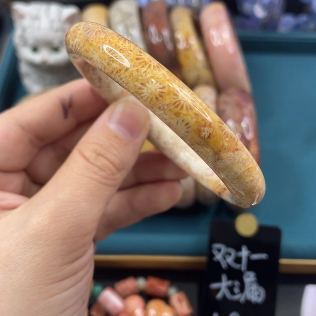 未镶嵌手镯硅化玉