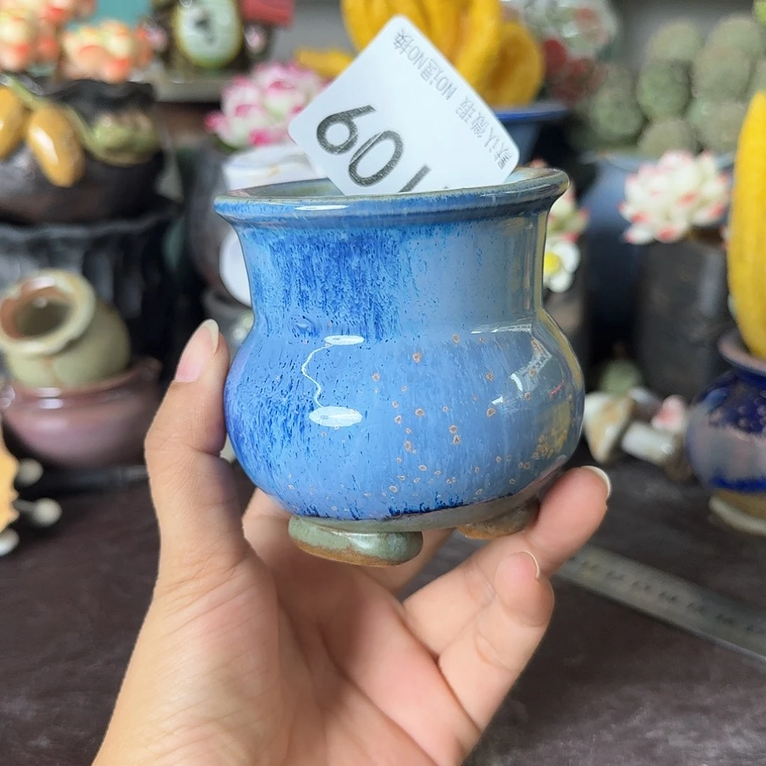 重庆小燕子欢迎大家109
