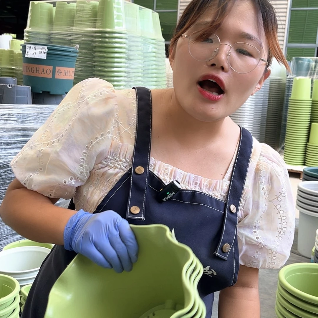 荷叶盆3#果绿色5个含托