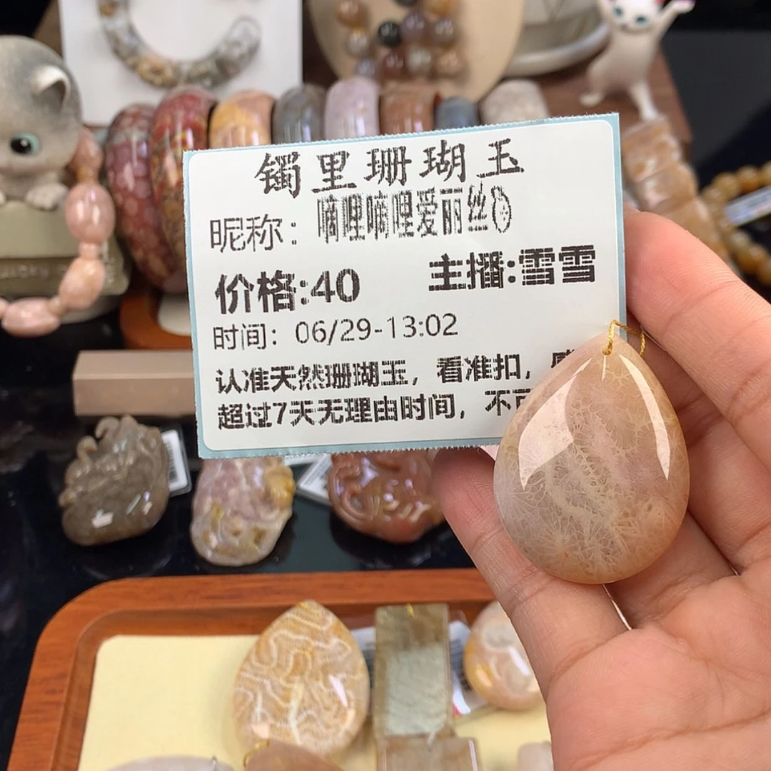 【闪购商品】硅化珊瑚（珊瑚玉）未镶嵌颈饰嘀****?