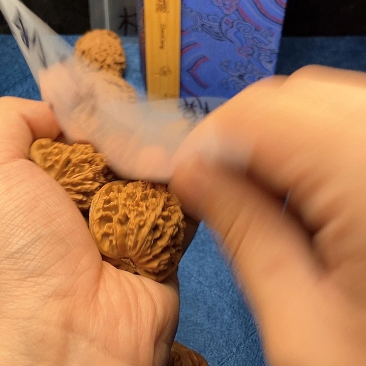 手串/手链贝壳文玩核桃