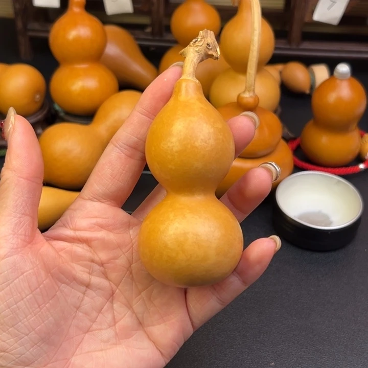 乐*葫芦葫芦葫芦葫芦葫芦