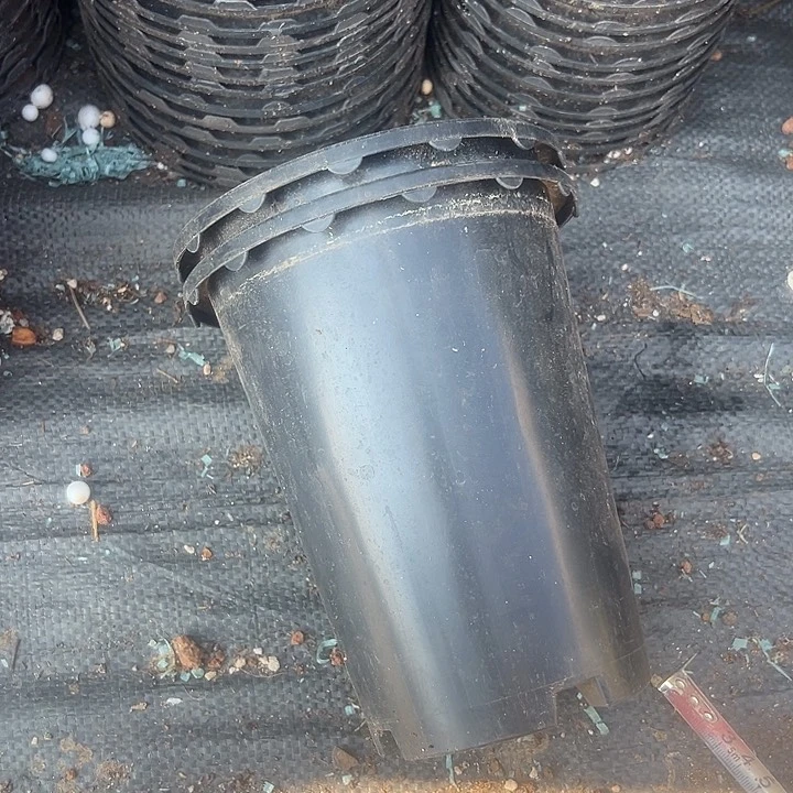 兰花盆口径14.5高16发15个