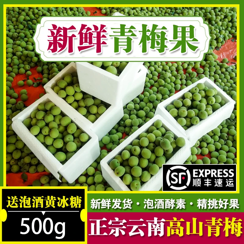 【顺丰速运】青梅鲜果 云南青梅泡酒新鲜现摘盐梅酸梅照水梅做酵素