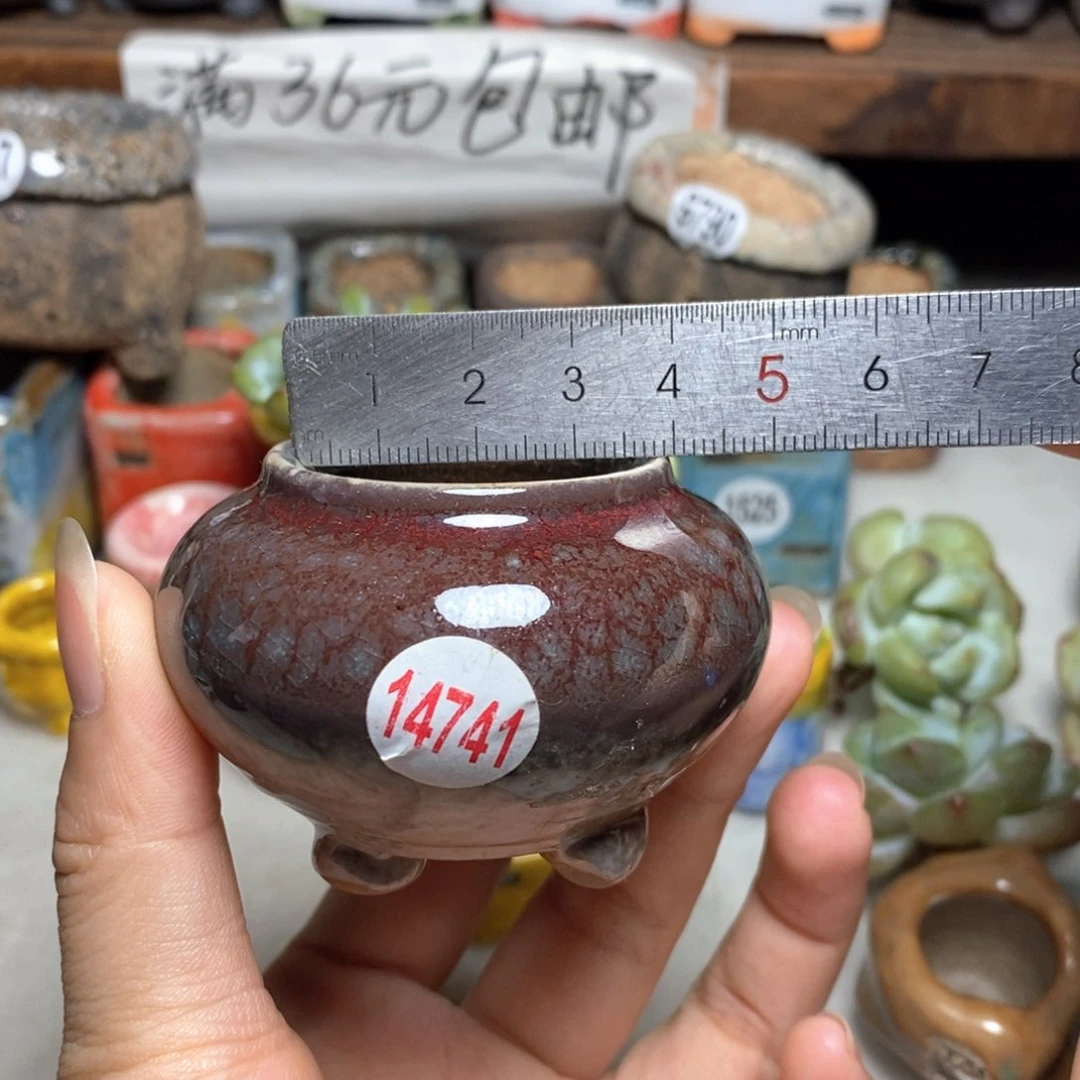 拍5送一个小礼物
