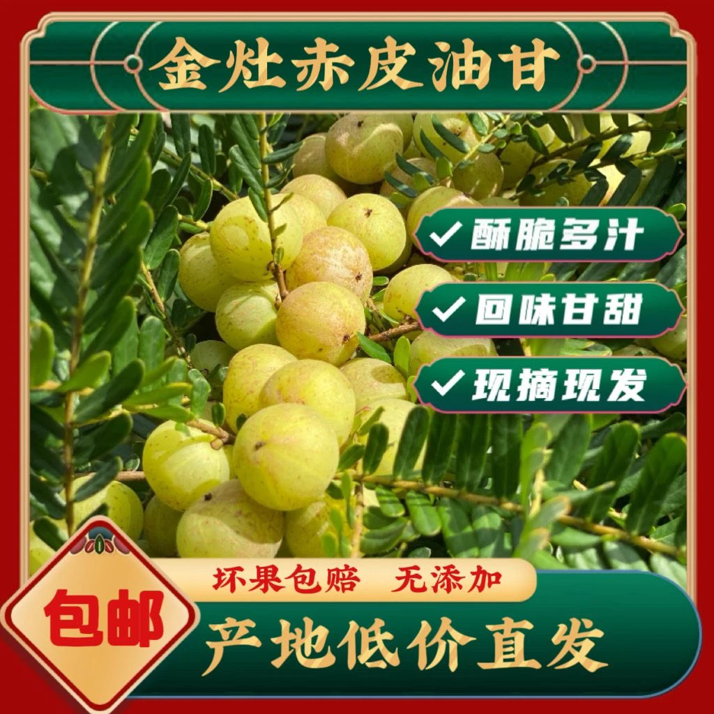 潮汕油甘果金灶赤皮油甘果 回甘 小个 煲汤 榨汁孕妇水果 一斤装