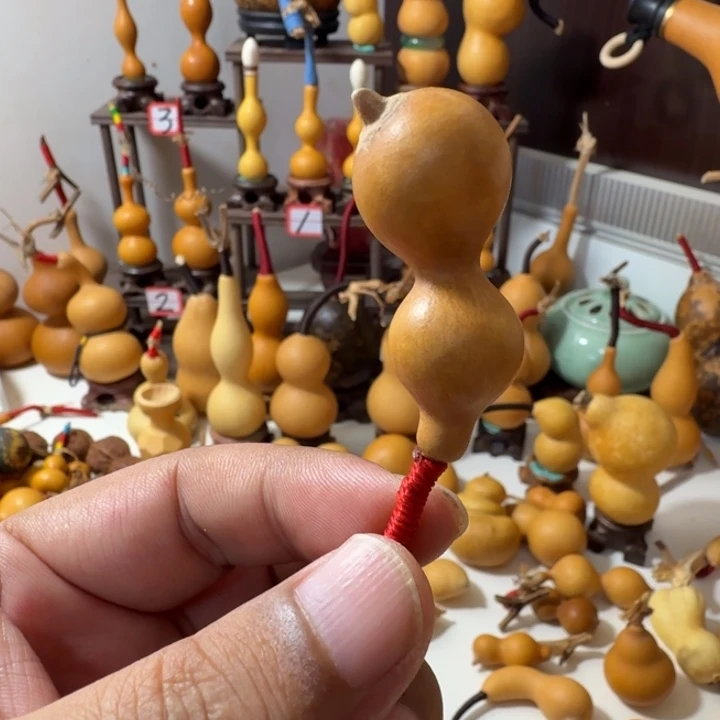 这个世界没有什么