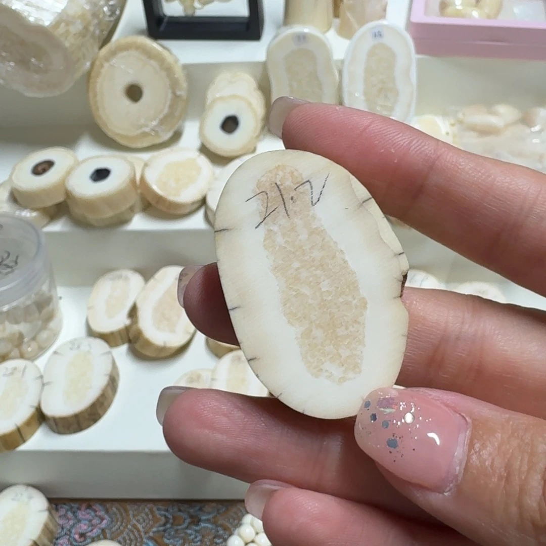 琉璃/树脂/塑料类胖毛角21.2